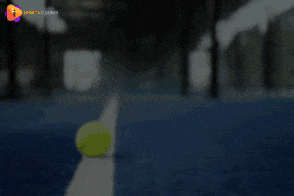 Pickleball-Paddle-Set Are Best Pickleball Sets